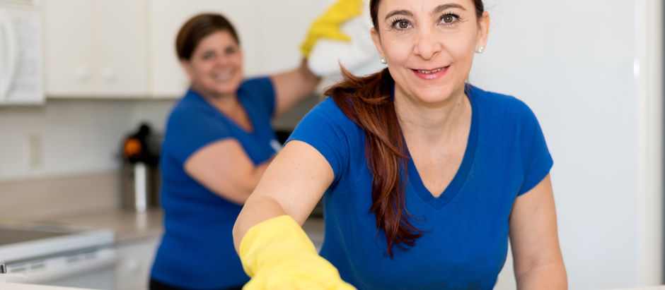 Understanding the Cost of a House Cleaner in Houston, TX