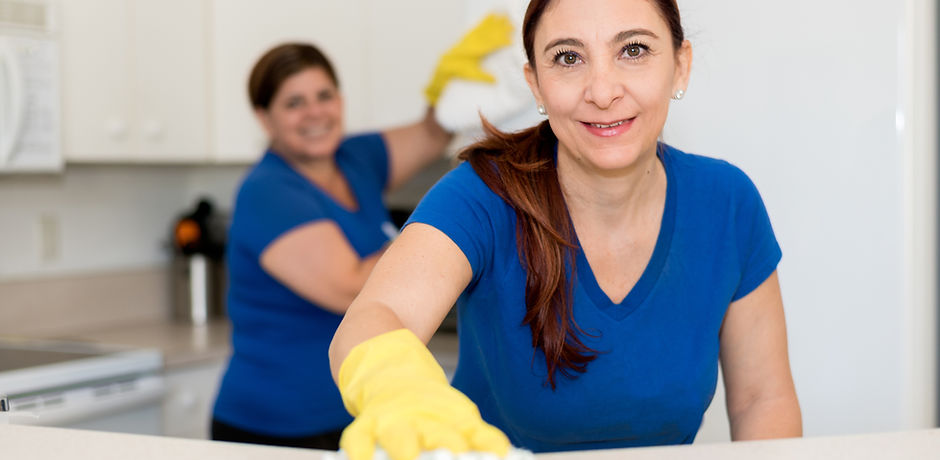Cleaning Ladies