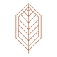 Diseño geométrico de la hoja