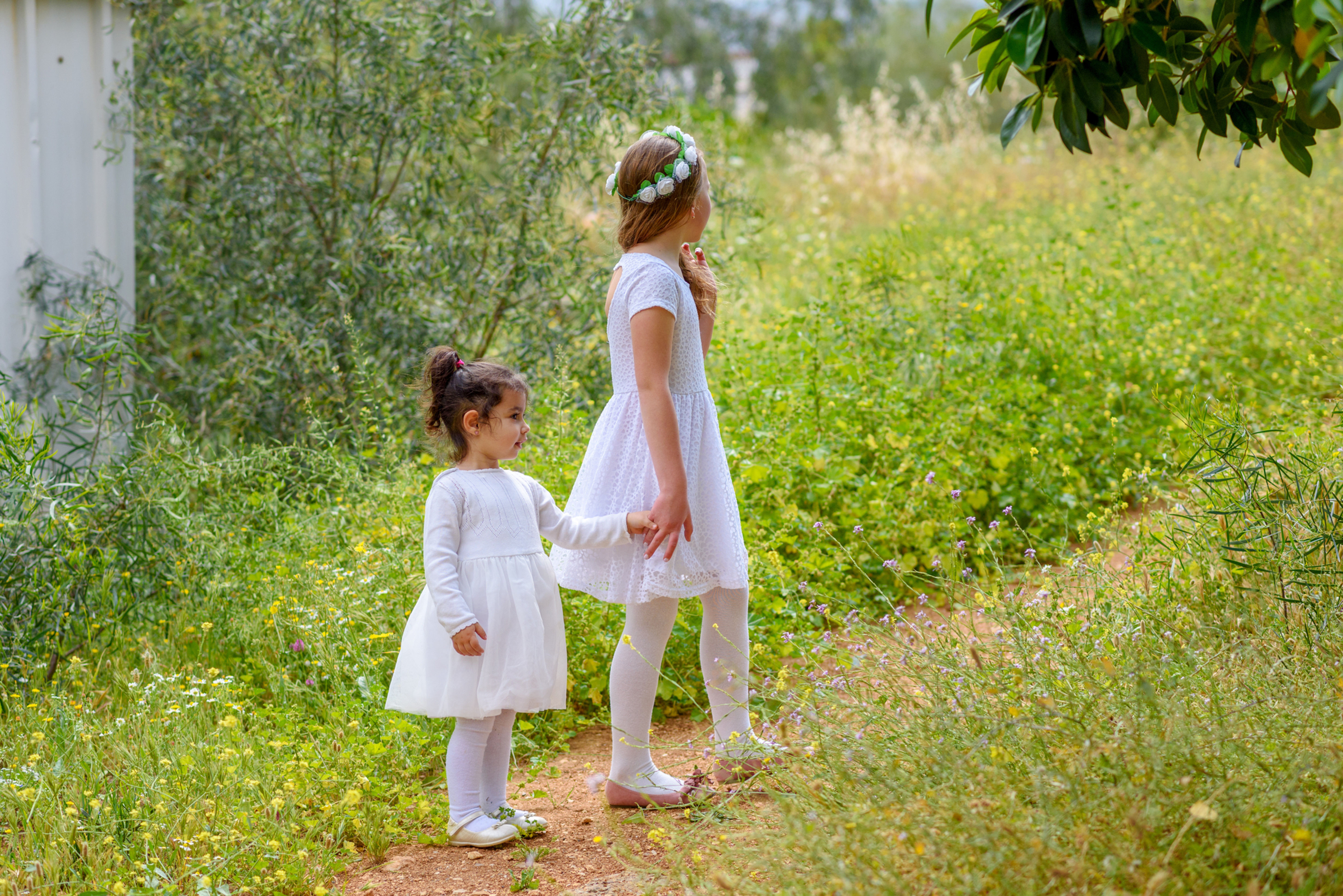 Child & Adolescent Counselling