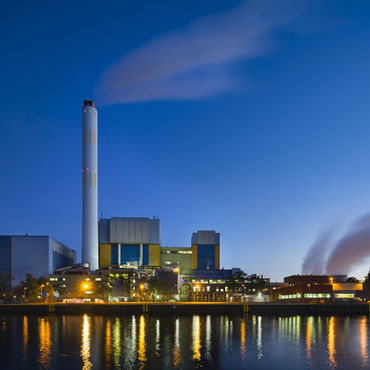 Could Lab Grown Meat Replace Animal Agriculture?