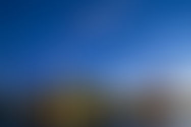 Dahilde İşleme Belgesi Sahiplerinin Dikkatine!