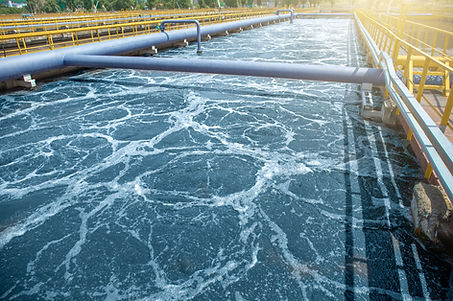 Biological Purification