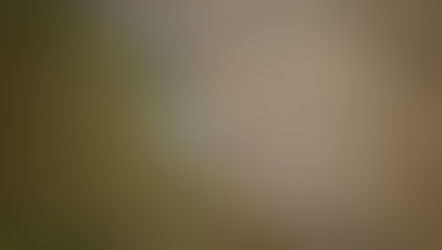 Federal Aid Package for Farmers