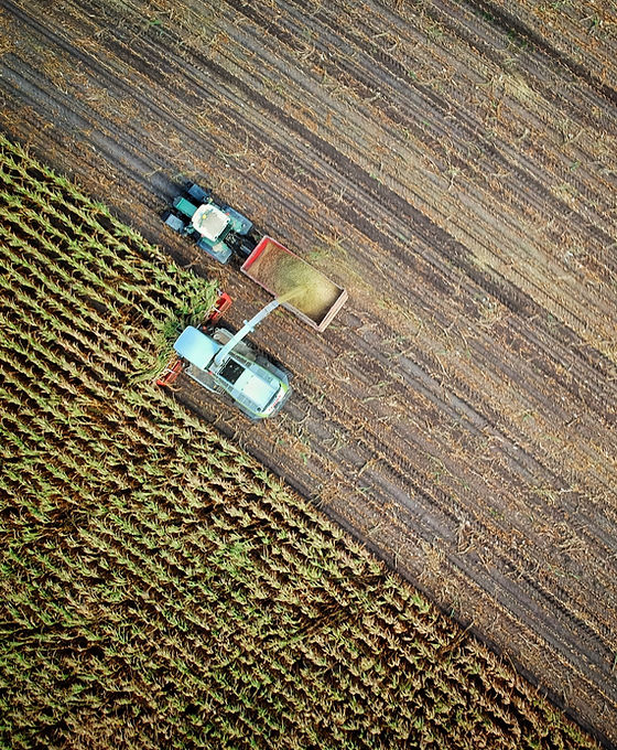 Harvesting Crop Field