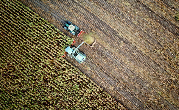 Drone photo of crop field
