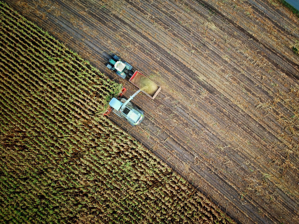 Harvesting Crop Field