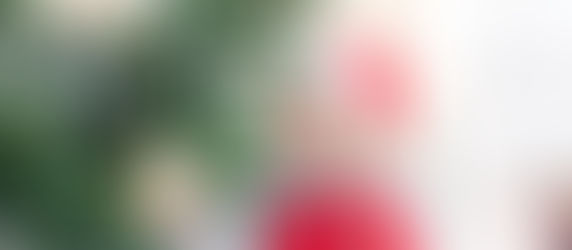 À Montargis, les manèges de Noël sont de retour !