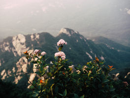 “Blessed is the man that fears the Lord, that delights greatly in His commandments.” - G.S.Notes