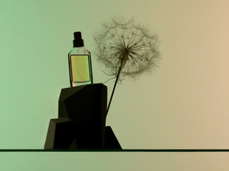 Revlon and Authentic Brands Group announce a global fragrance licence for sportswear brand Champion