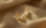 Golden Pearl Earrings