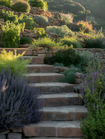 Terraced Garden Pathway