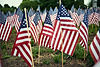 American Flags