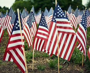 American Flags Display