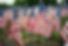 American Flags