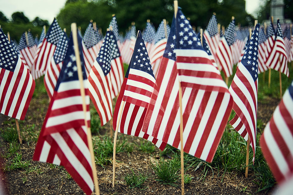 American Flags Display