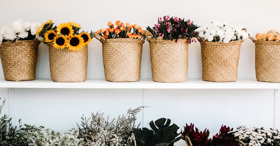Flower Plants