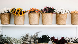 The Power of Small Things