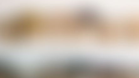 The Activa Advantage: