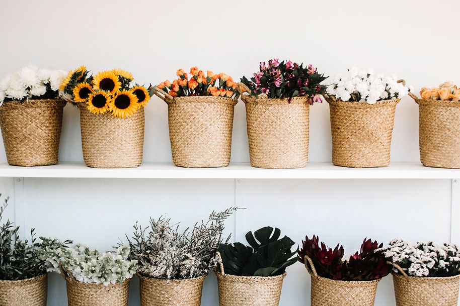Flower Plants