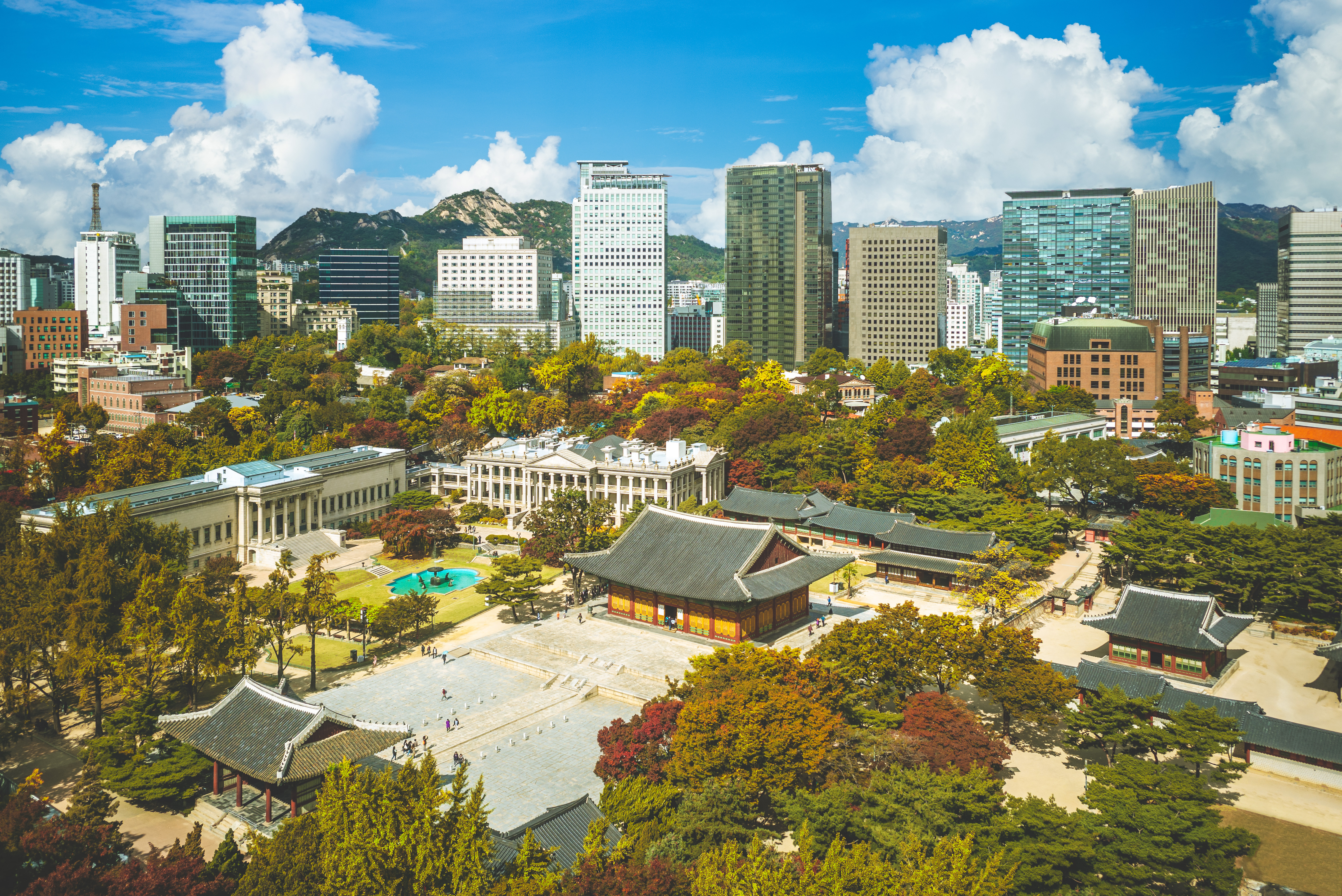 Forbidden City historical tour, Great Wall day trip, Beijing culinary street food tour, Hutong cycling tours.