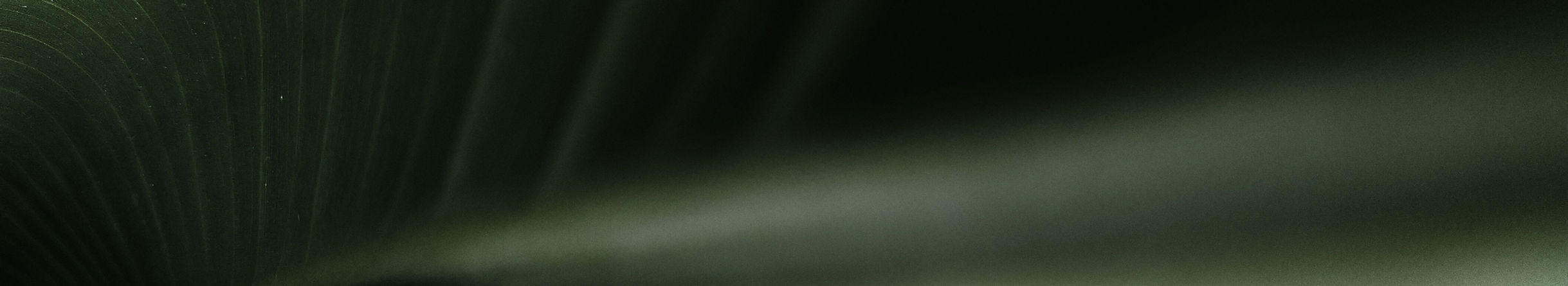 serene abstract image of nature