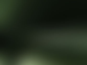 Why Trust Requires Accountability and Consequences