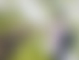 Швейцария глазами туристов: кто и где отдыхал летом 2025