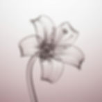 Clarity - with Gunda