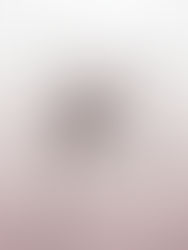 5 Key Essentials for Creators to Achieve Success Today