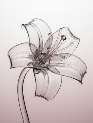 5 Key Essentials for Creators to Achieve Success Today