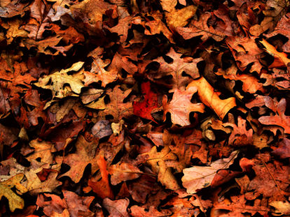 The season of change.