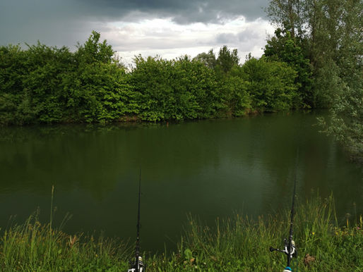 Who puts Fish in Ponds?
