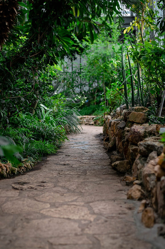Garden Walkway