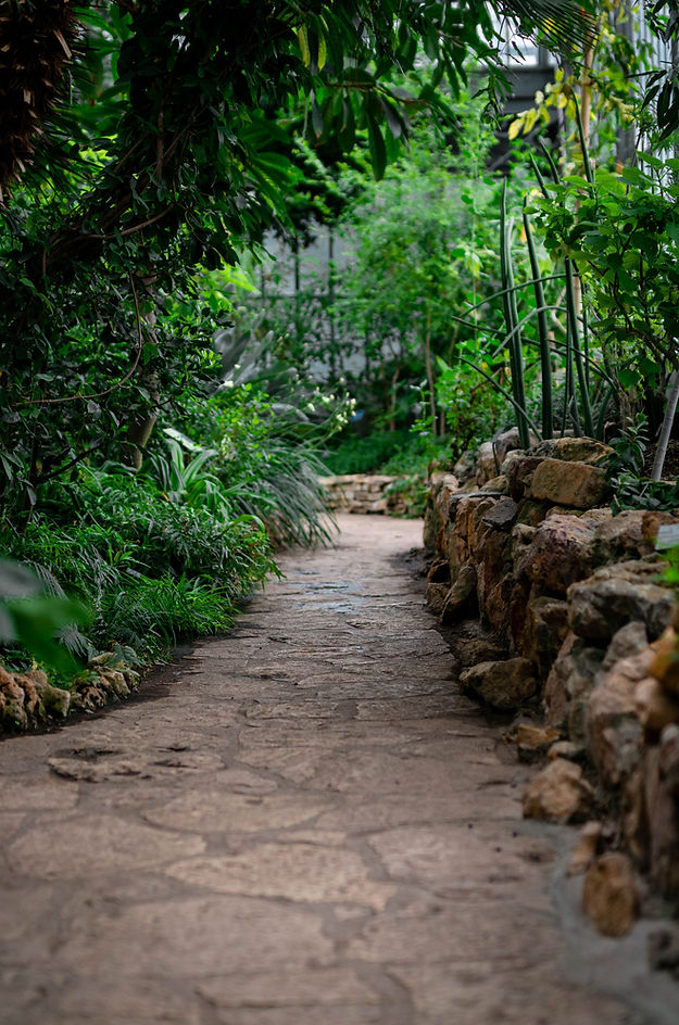 Stone Garden Path