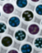 Microscopic Cell Analysis for Scientific Page on Geyser Data