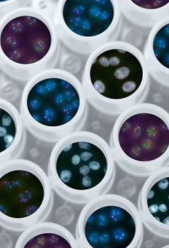Diverse Genomic Sampling