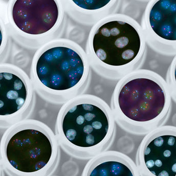 Microscopic Cell Analysis