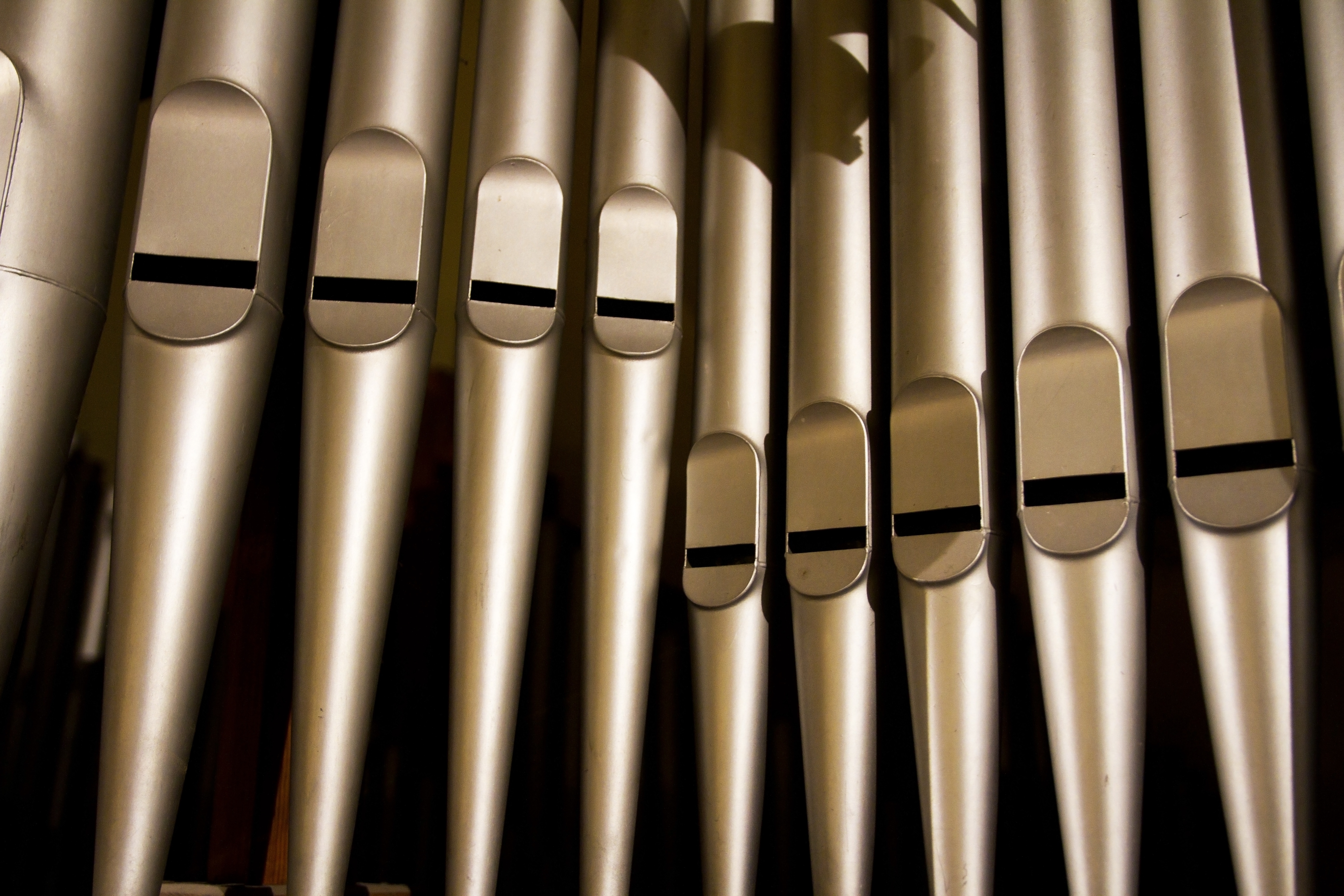 Close-up of organ pipes
