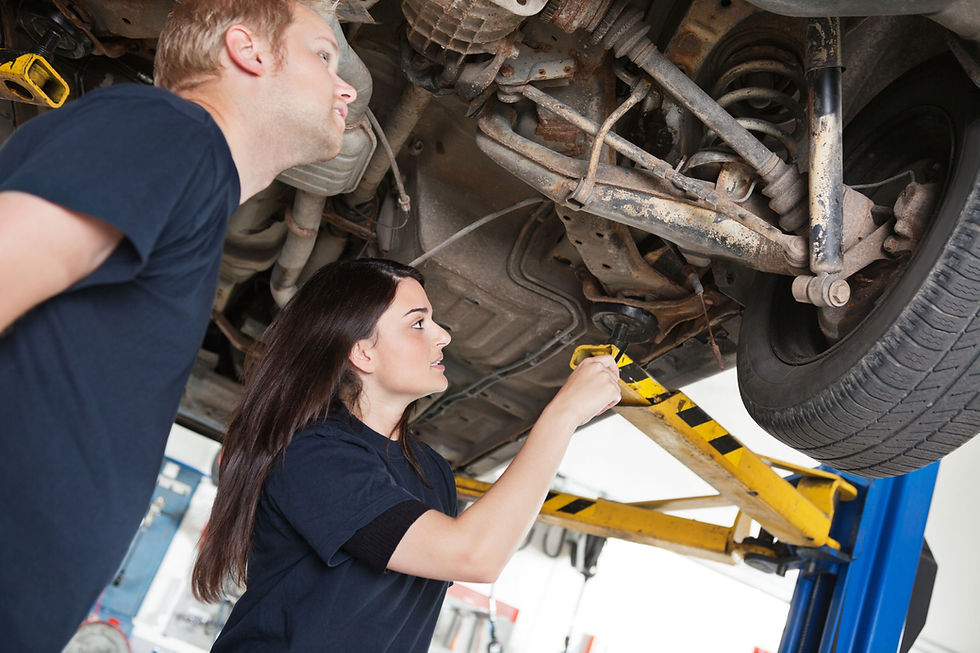 Car Inspection Scene