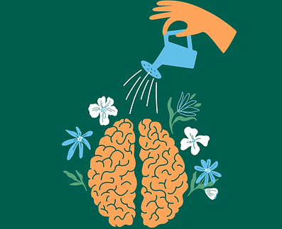 Brain Growth Illustration