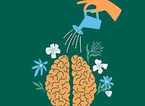 Brain Growth Illustration