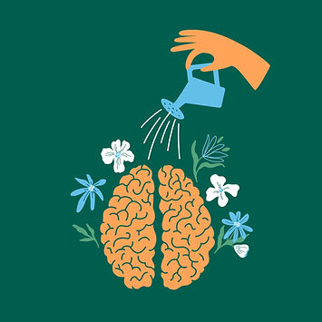Illustration de la croissance du cerveau