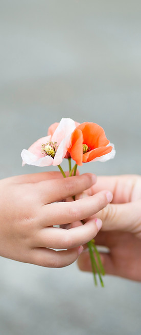 Hands Holding Flowers