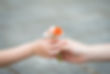 Hands Holding Flowers