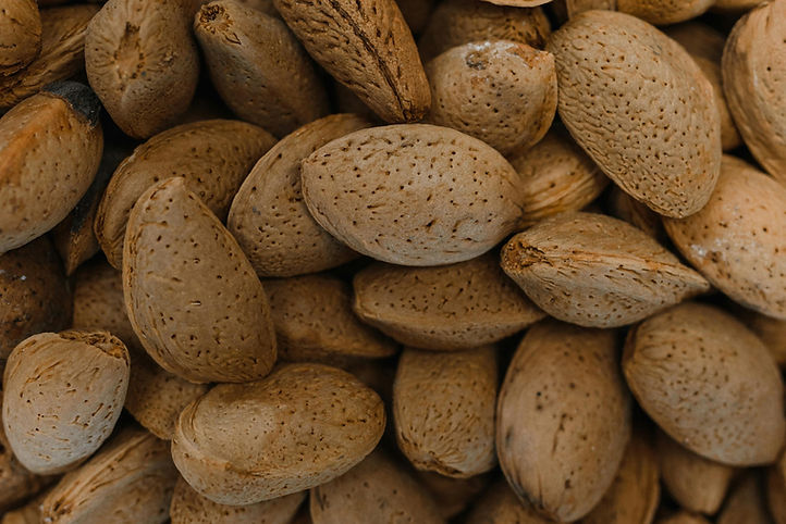 Almonds In Shells
