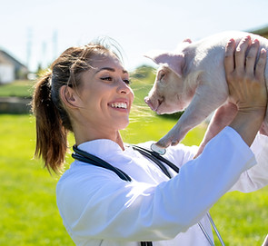 Carrying Piglet on Farm