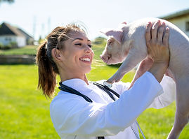 Carrying Piglet on Farm