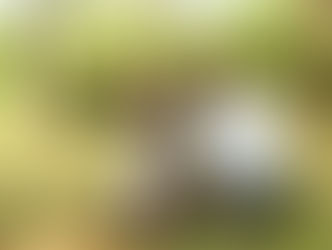 自己発信の大切さ