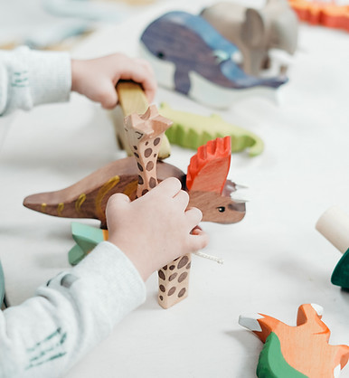Wooden Toys